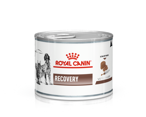Вологий корм для собак та котів у період відновлення після хвороби Royal Canin Recovery 195 г