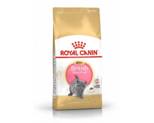 Сухий корм для Британських короткошерстих кошенят Royal Canin British Shorthair Kitten 10 кг